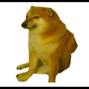 Meet your Posher, Stephen